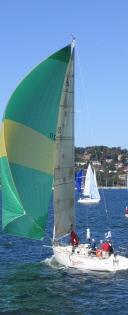 Sailboat on Sydney Harbour