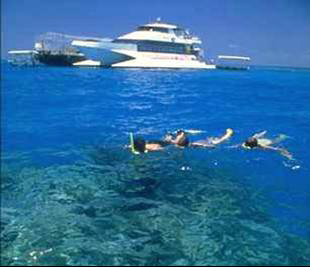 Snorkeling at Great Barrier Reef