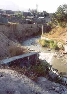 river.jpg (30576 bytes)