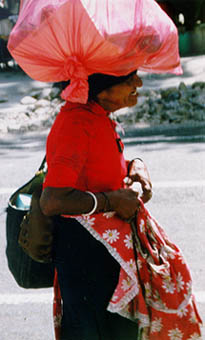 lady.jpg (25568 bytes)