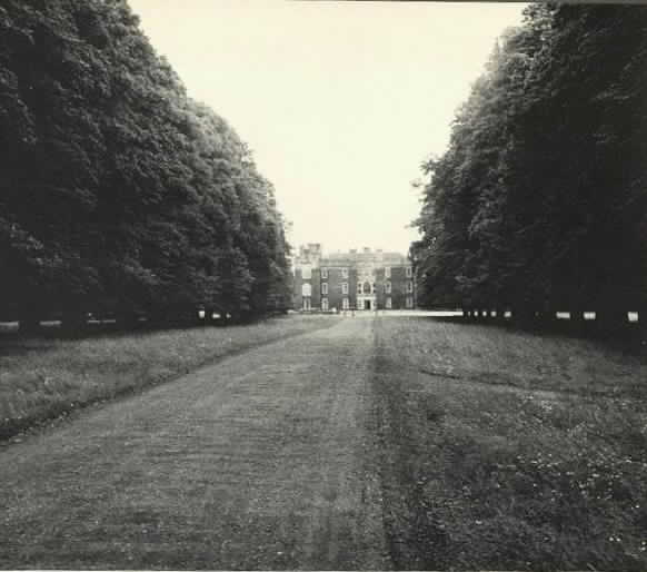 clongowes wood college