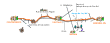 stage13.gif (17248 bytes)