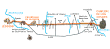 stage16.gif (23126 bytes)
